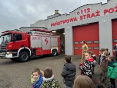 większy obrazek nr 12