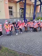 większy obrazek nr 2