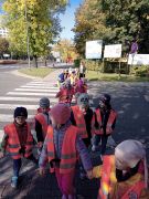 większy obrazek nr 3