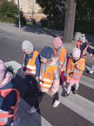 większy obrazek nr 6