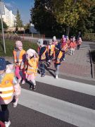 większy obrazek nr 7