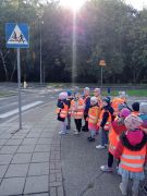 większy obrazek nr 8