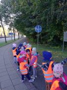 większy obrazek nr 9