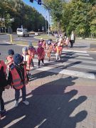 większy obrazek nr 13