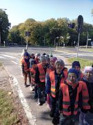 większy obrazek nr 15