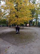 Spacer w parku