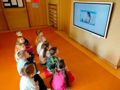 większy obrazek nr 2