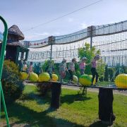 Dzieci chodzą po przeszkodach 