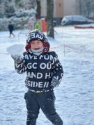 większy obrazek nr 4