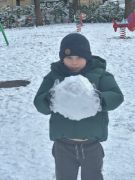 większy obrazek nr 5