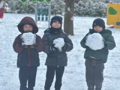 większy obrazek nr 6