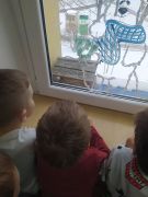 Wpatrywanie ptaków
